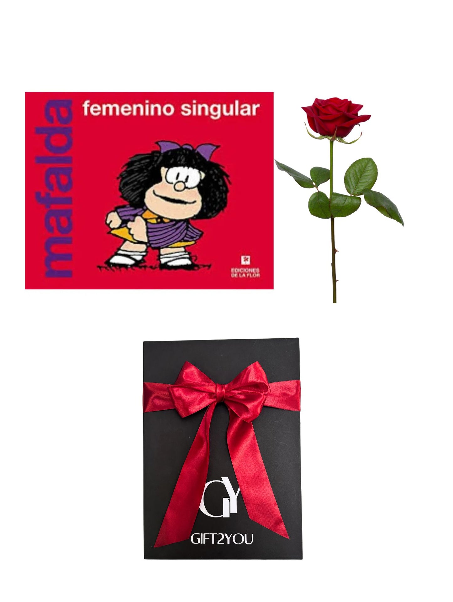 Libro Femenino Singular & Rosa