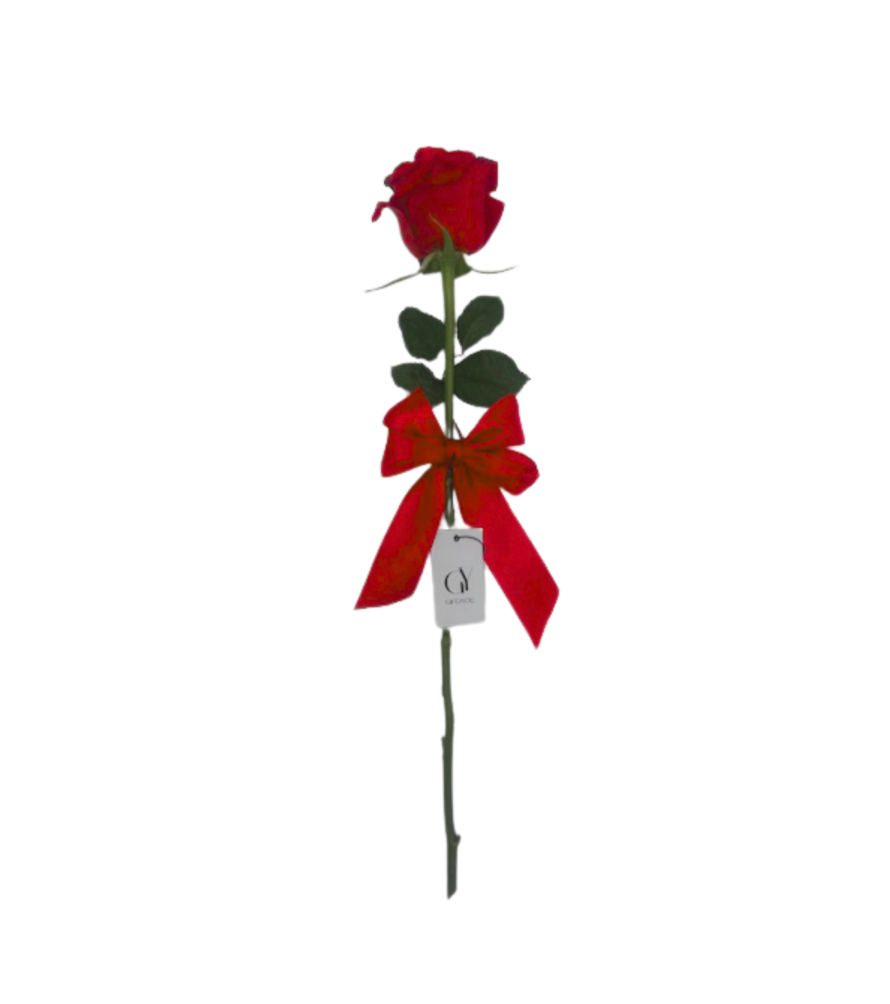 Set Sakeena + Rosa Roja: Toque perfecto