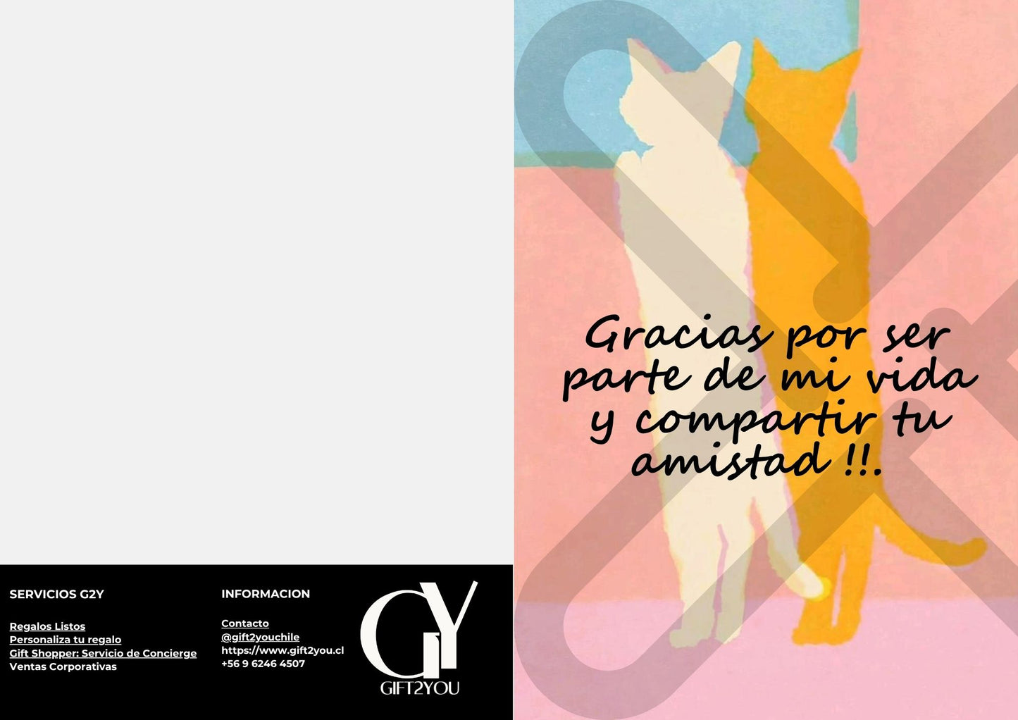 Tarjeta de Saludo Gracias Amistad Gatitos