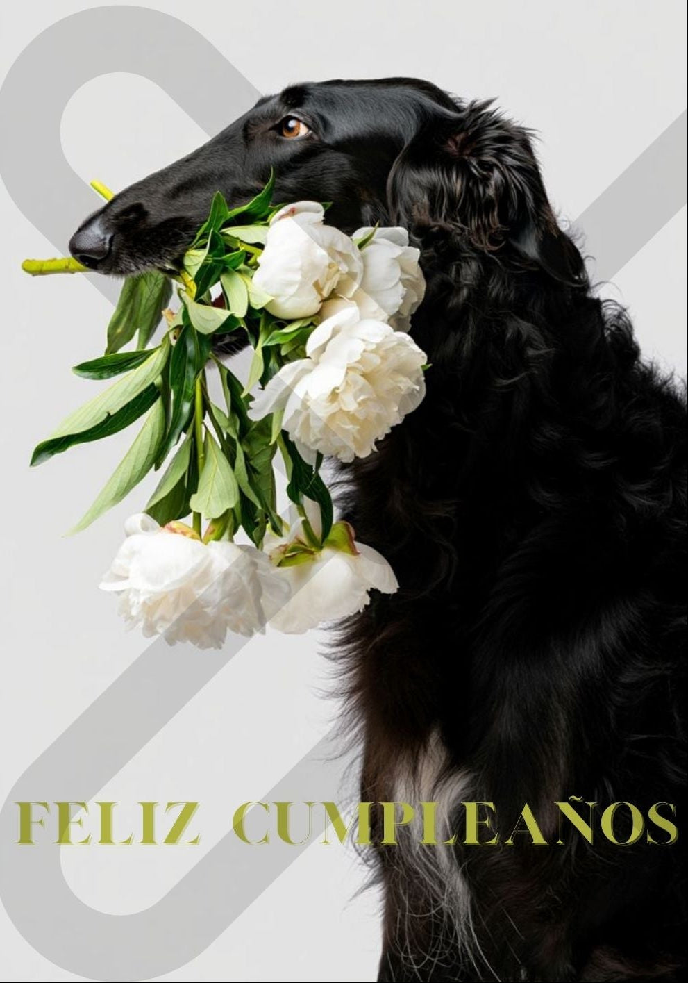 Tarjeta de Saludo Cumpleaños Perro con Flores