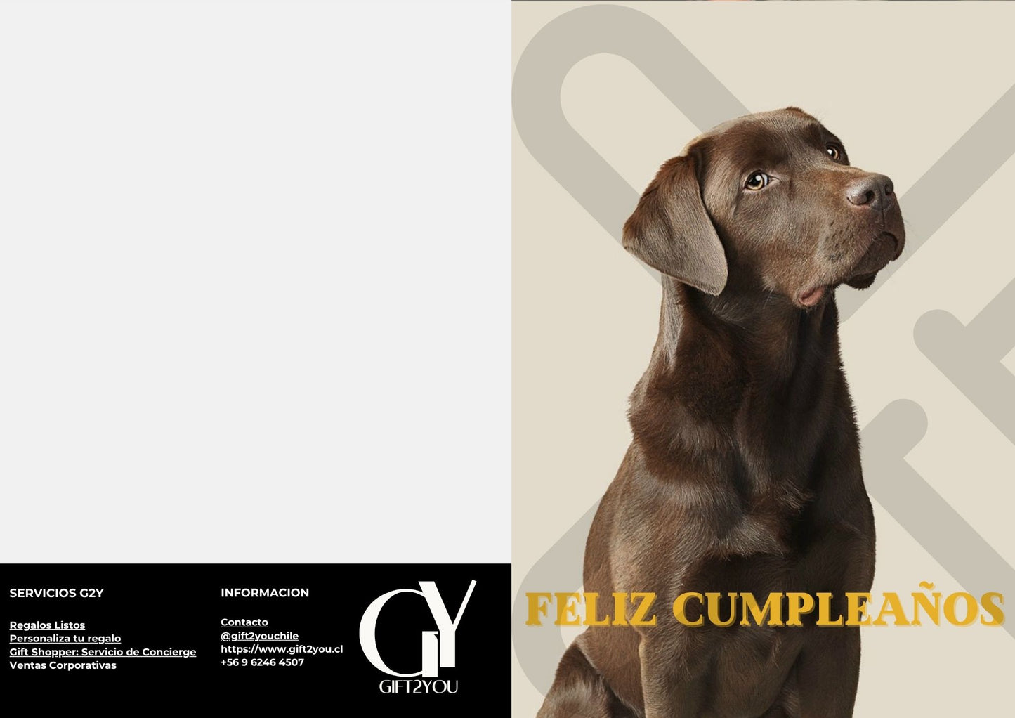 Tarjeta de Saludo Cumpleaños Labrador Café