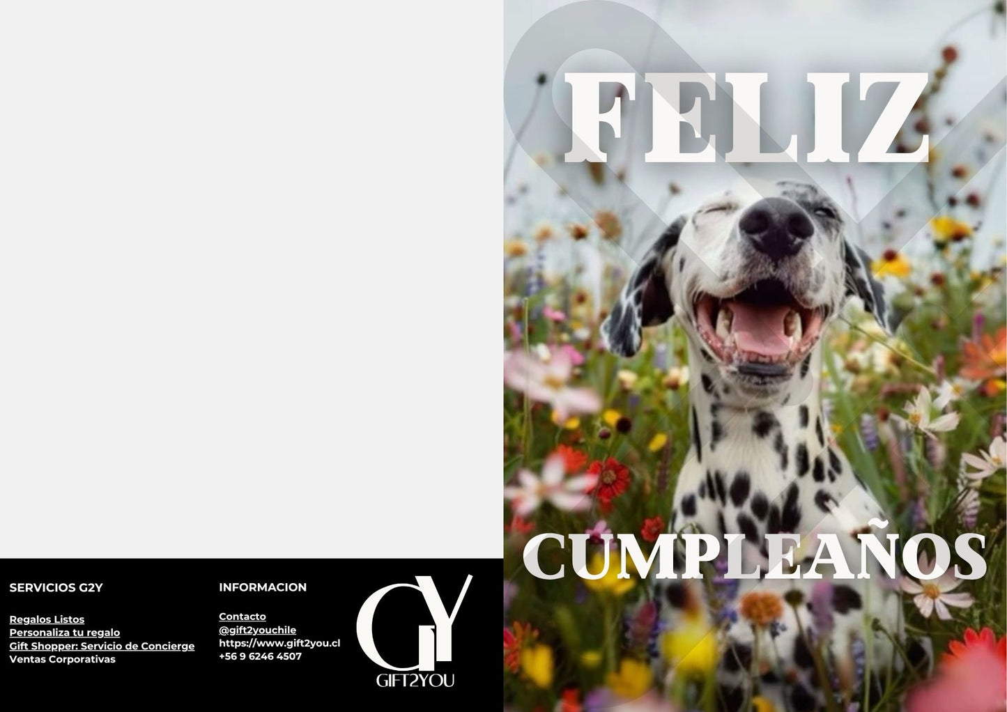 Tarjeta de Saludo Cumpleaños Dálmata Feliz