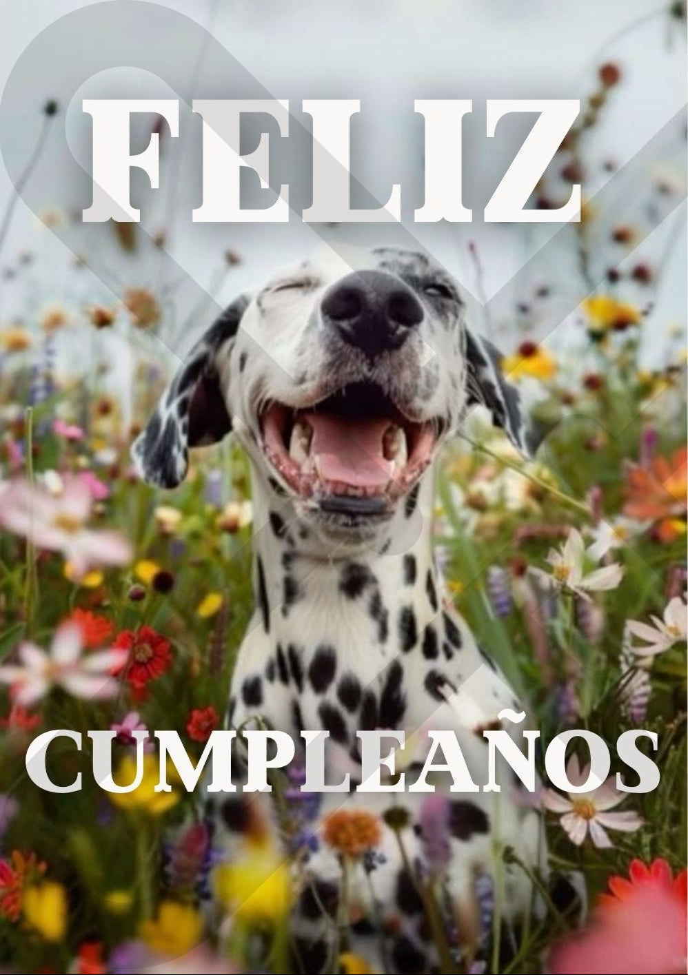 Tarjeta de Saludo Cumpleaños Dálmata Feliz