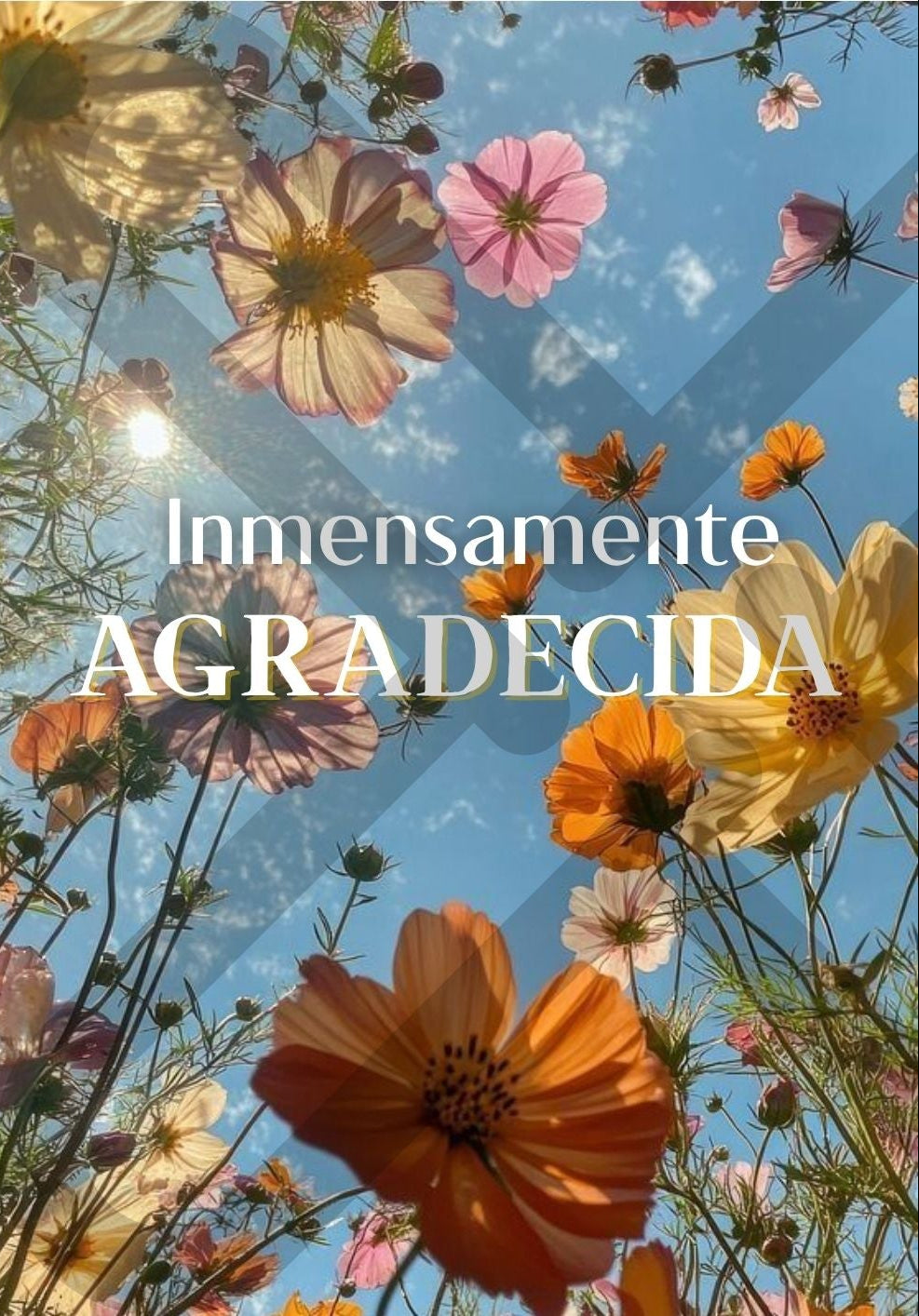 Tarjeta de Saludo Flores al Cielo