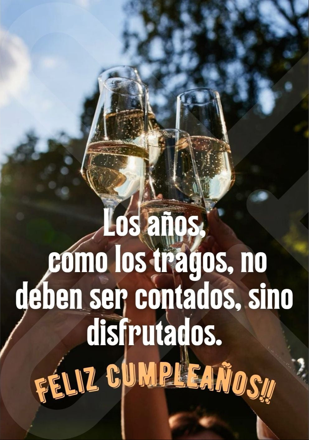 Tarjeta de Saludo Cumpleaños Brindis con Estilo