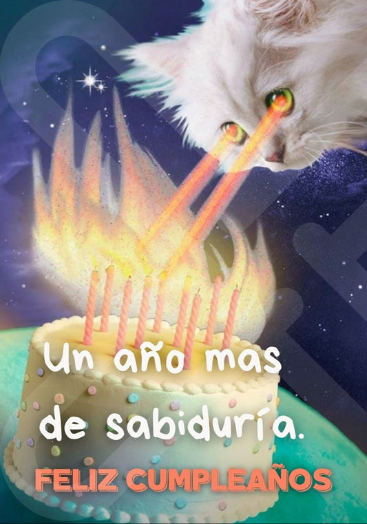 Tarjeta de Saludo Cumpleaños Gato Láser