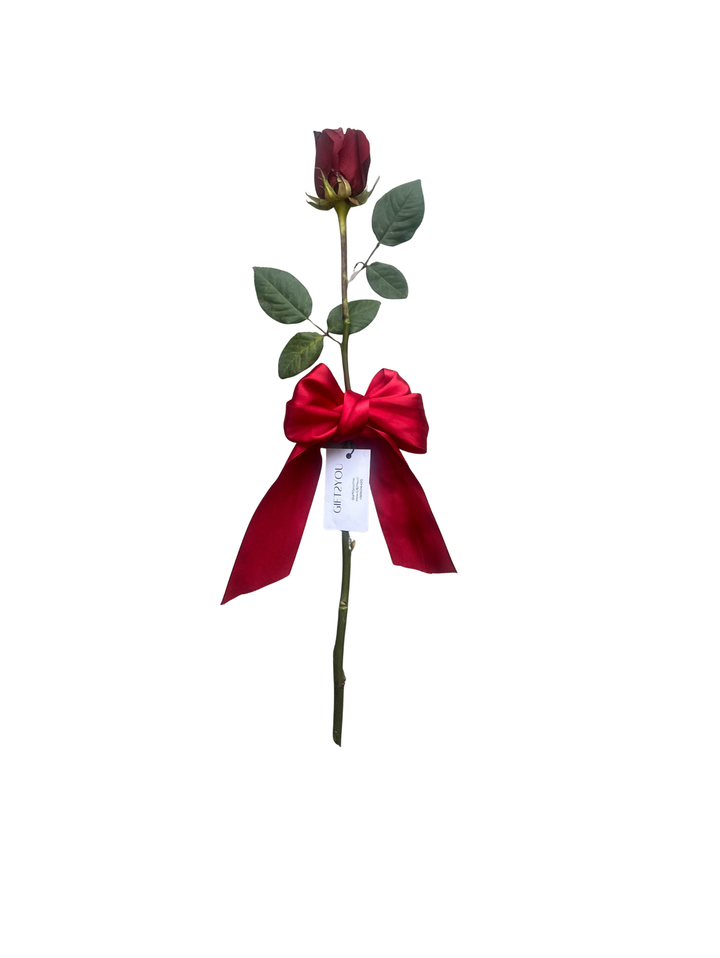 Tarjeta Collage & Rosa: Sobrio y emotivo saludo