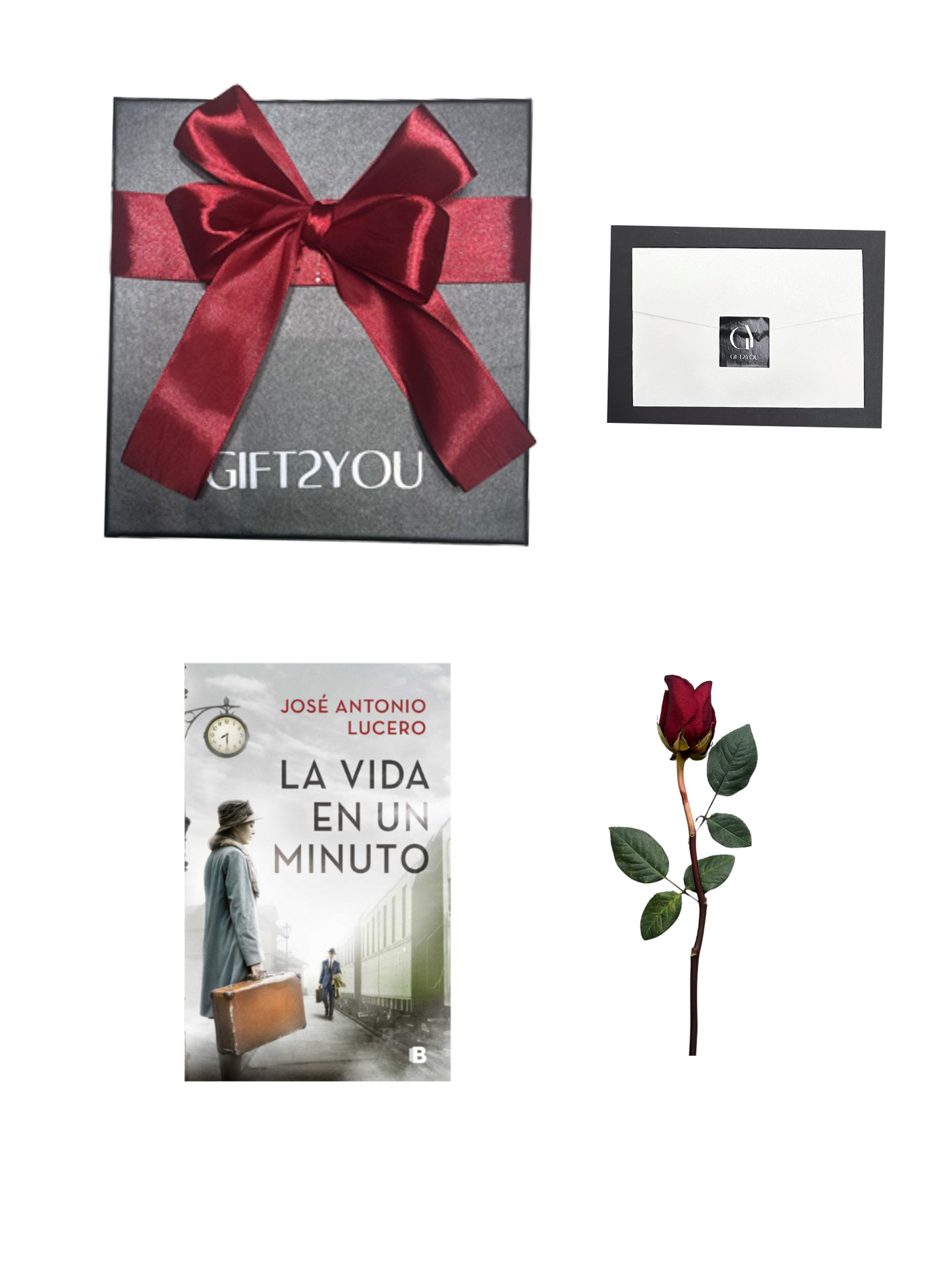 Libro La Vida en un Minuto & Rosa