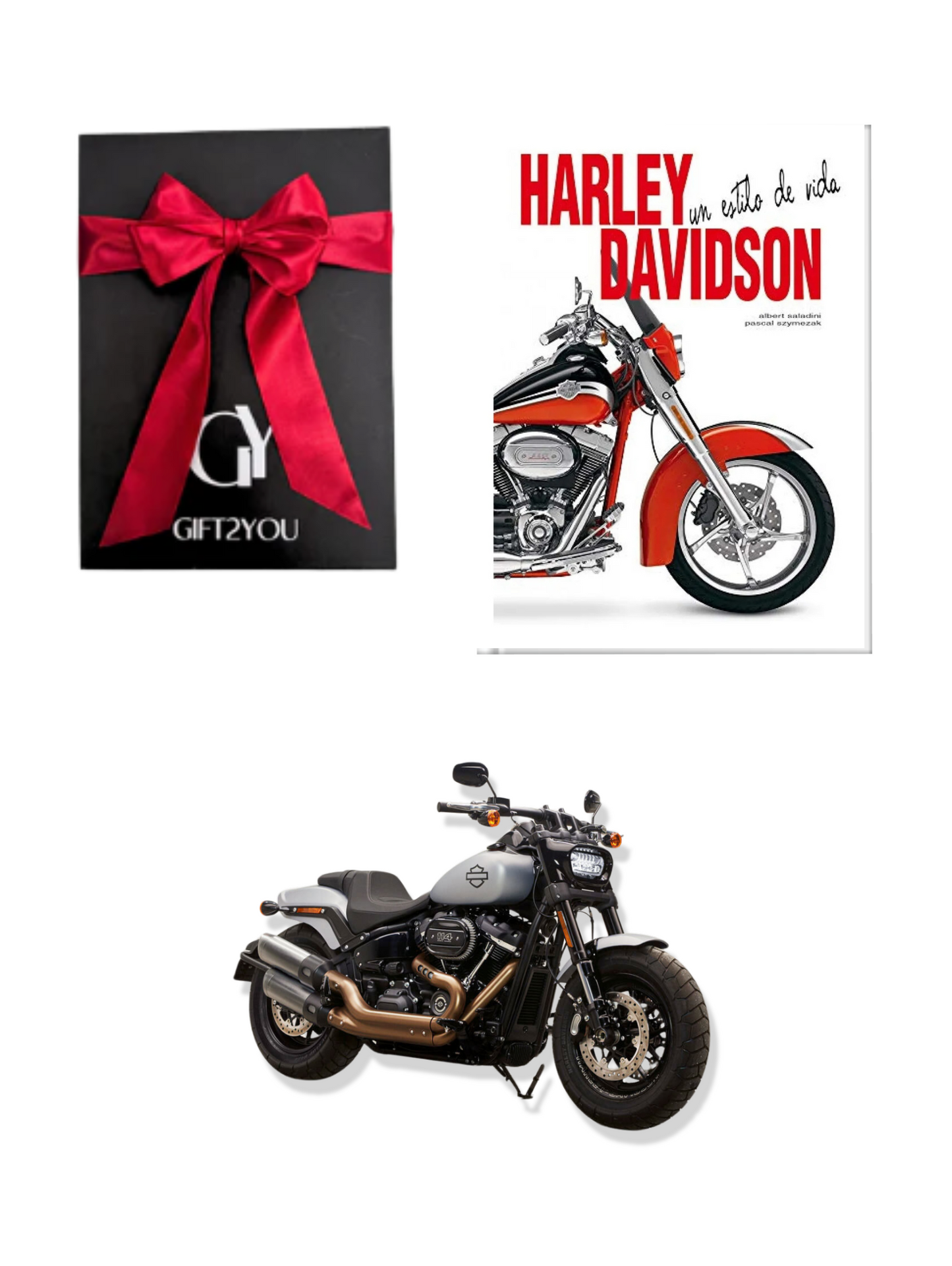Moto Harly Fat Bob Libro Davidson