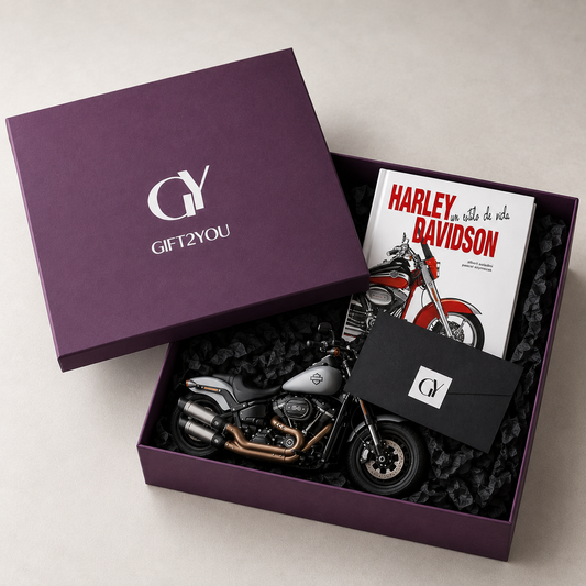 Moto Harly Fat Bob Libro Davidson