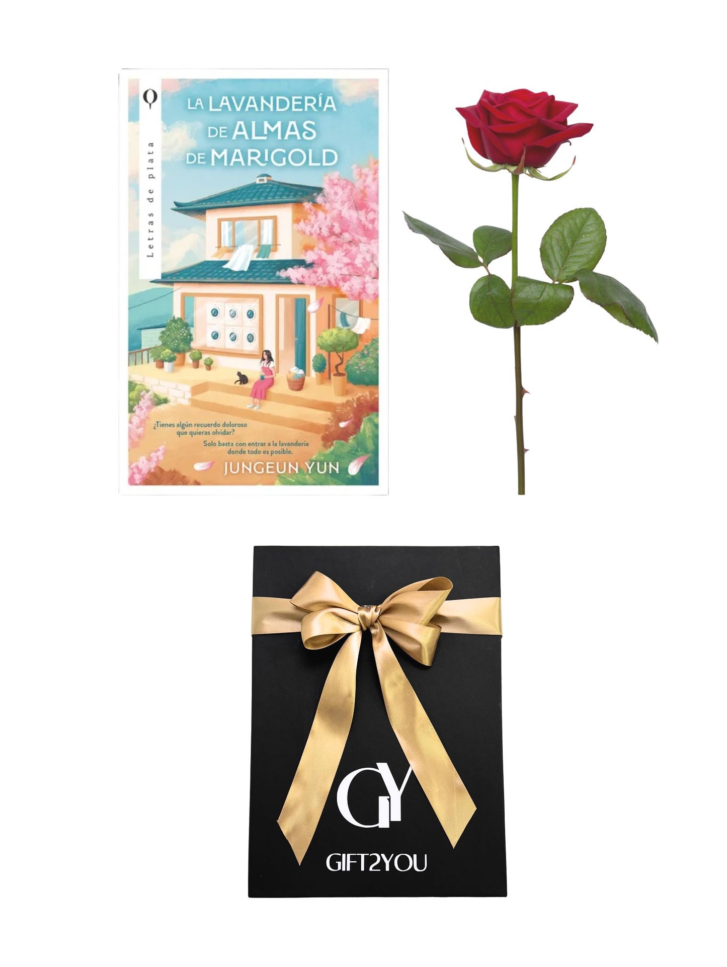 Libro Lavandería de Almas & Rosa